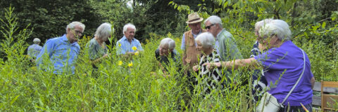 excursie vlindertuin waalre 250806 kop 3op1