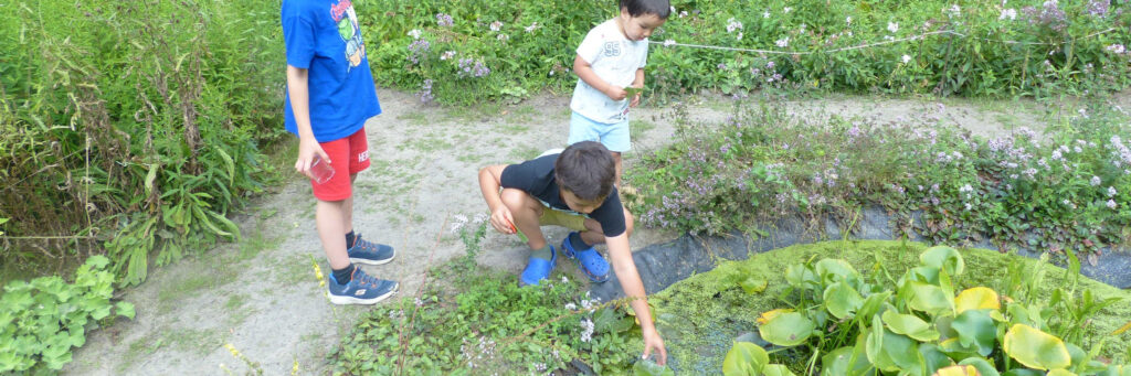 vlindertuin waalre kindermiddag 250810 kop 3op1