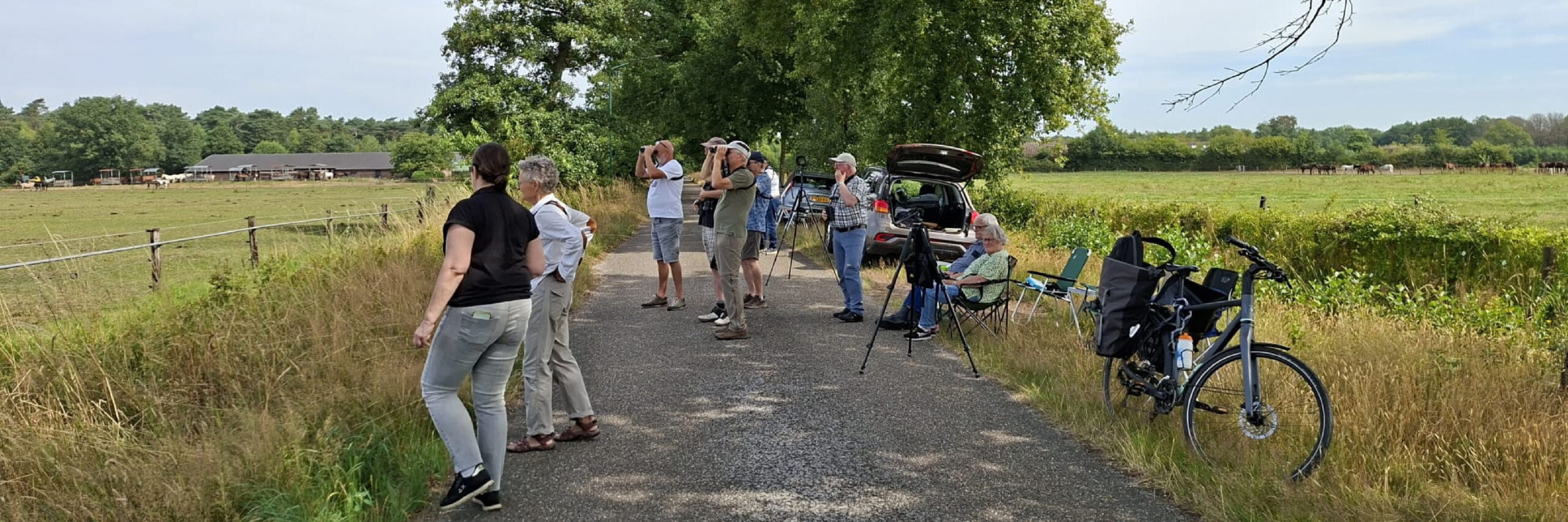 wespendieftelling 250719 kop 3op1