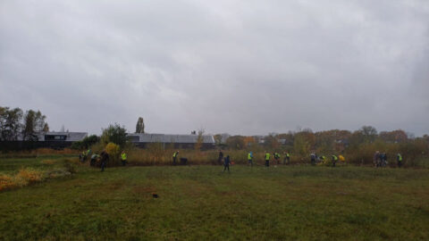 natuurwerkdag waalre 25110104