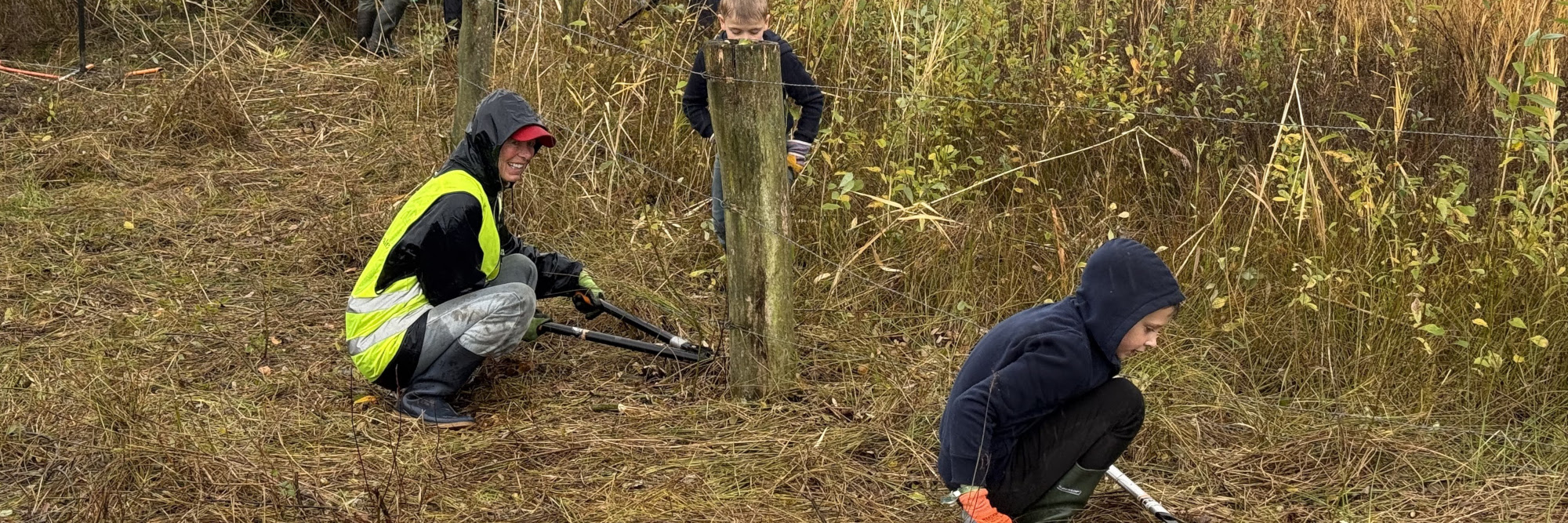natuurwerkdag waalre 251101 kop 3op1