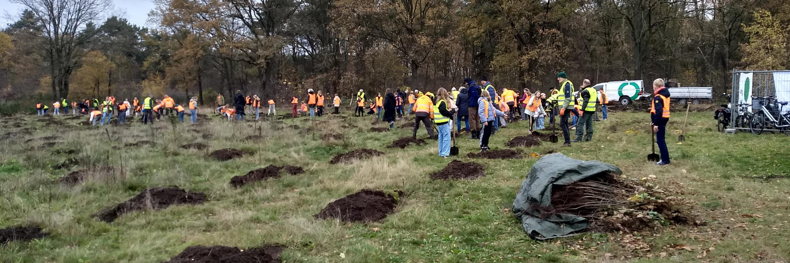 Vrijwilligers planten bomen op een open veld, dragen oranje veiligheidshesjes.