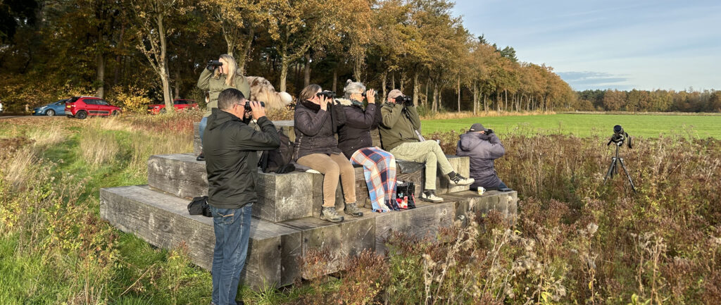 vogels trektelpost Patersgronden 251122 kop 3op1
