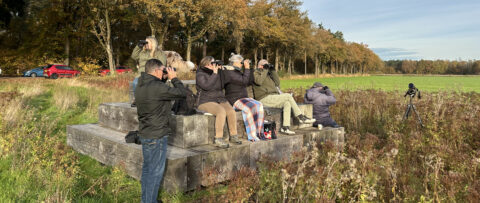 vogels trektelpost Patersgronden 251122 kop 3op1
