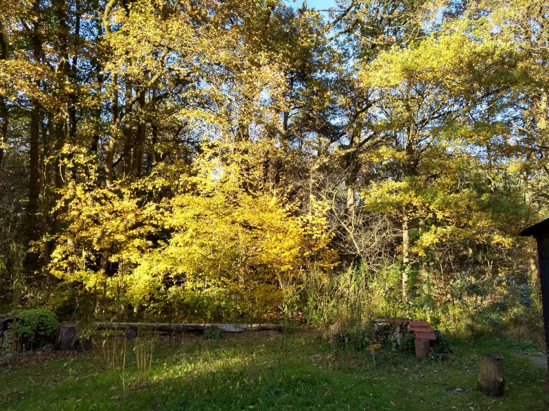 herfstkleuren vlindertuin waalre 251105