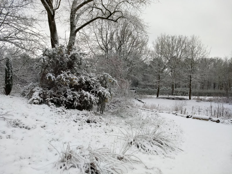 vlindertuin waalre in wintersfeer 260103