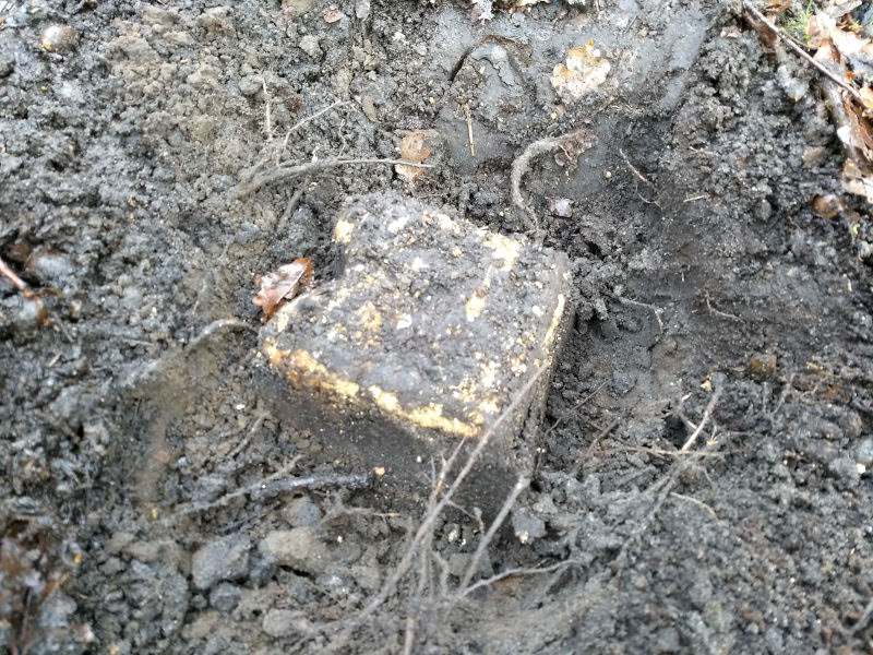 IVN Valkenswaard Waalre vlindertuin meetsteen uit 1948 260114