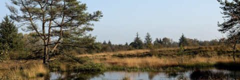 IVN Valkenswaard Waalre Malpieven kop 3op1