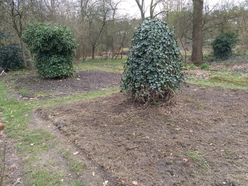 IVN Valkenswaard Waalre vlindertuin 260310 ingezaaid eenjarigenperk