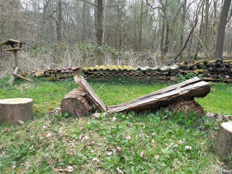 IVN Valkenswaard Waalre vlindertuin gebroken bank 260324