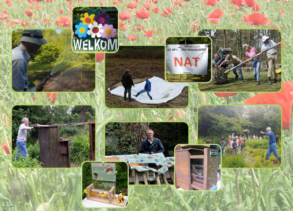 IVN Valkenswaard Waalre vlindertuin collage Harry 260402