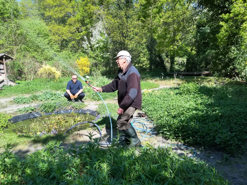 IVN Valkenswaard waalre vlindertuin water geven 1 260428