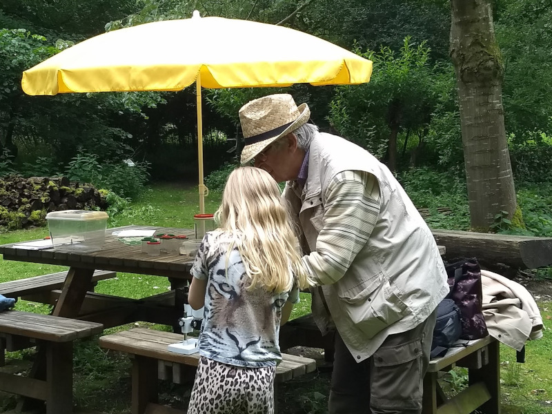 IVN Valkenswaard Waalre Vlindertuin bezoek groep 5 Wilderen juni 2026 post 1a