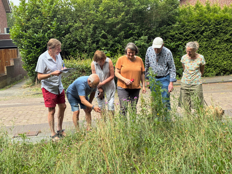 IVN Valkenswaard Waalre Malando bloemenweide 260702