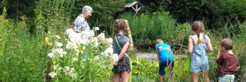 IVN Valkenswaard Waalre vlindertuin 260809 bezoekers kindermiddag kop 3op1