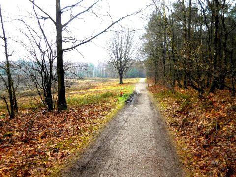 Wandelroute Elsterberg