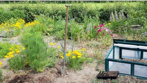 Werkgroep Moestuin De Duiventoren