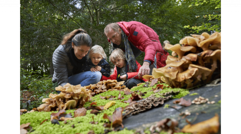 Paddenstoelen excursie