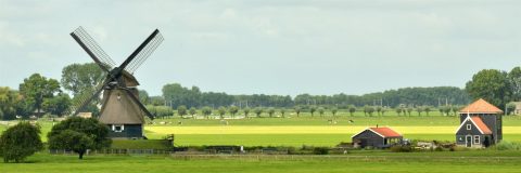 Windmolen en huisje in groen landschap met bomen en koeien op de achtergrond.