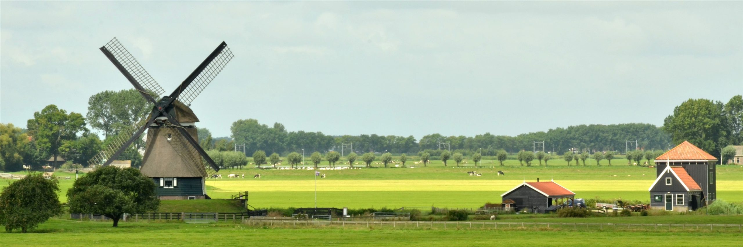 Windmolen en huisje in groen landschap met bomen en koeien op de achtergrond.