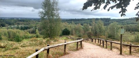 Zandpad met houten railing leidt naar bosrijk landschap onder bewolkte hemel. Informatiebord rechts.
