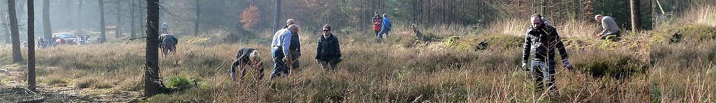 Mensen werken in een bos, verspreid tussen bomen en struiken, met een auto zichtbaar op de achtergrond.