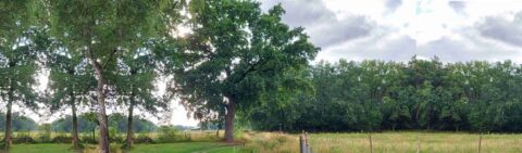 kopfoto wandelroute De Dennen