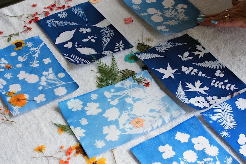 Blauwe en witte cyanotype afdrukken met bloem- en bladpatronen op witte ondergrond.