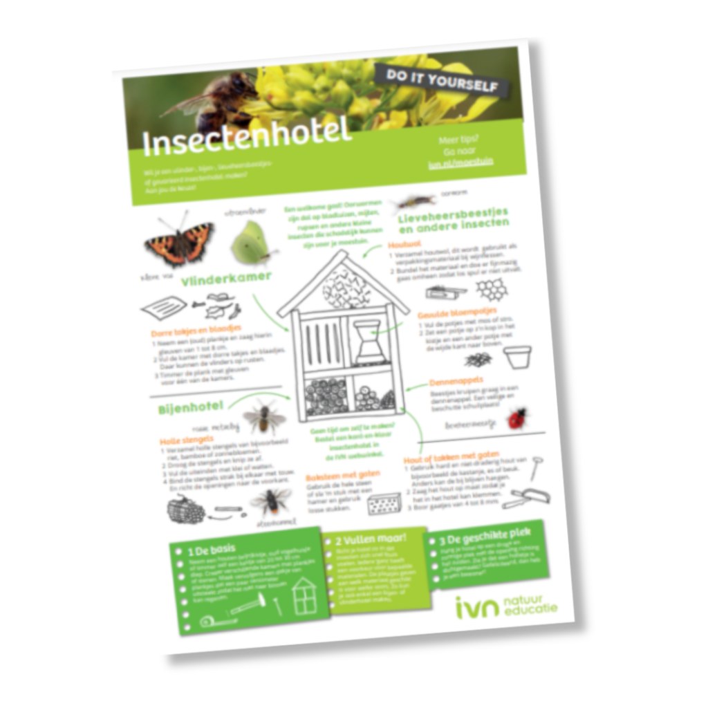 Handleiding Insectenhotel