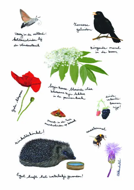 Illustratie met natuurbeelden: merel, vlinder, egeltje, bloemen en handgeschreven notities.