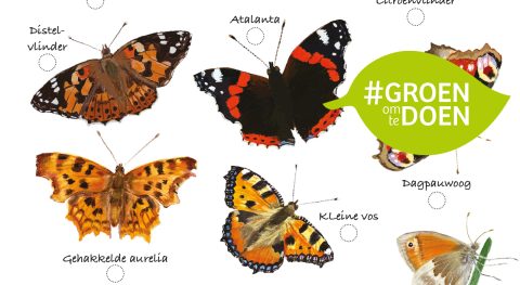 Doe-tip: Gratis zoekkaart vlinders