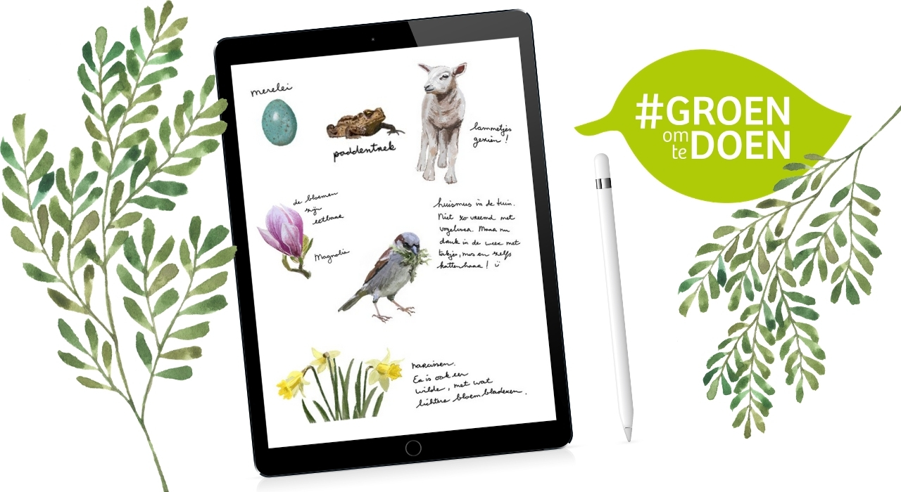 Doe tip: Maak een natuurdagboek!