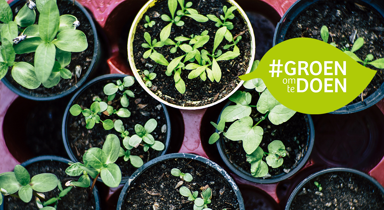 Doe-tip: je eigen salade maken(4)