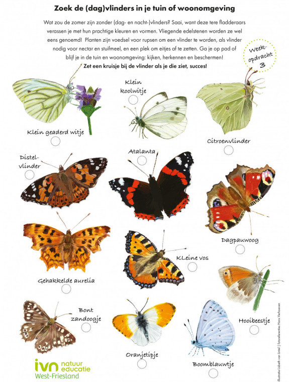 vlinder zoekkaart