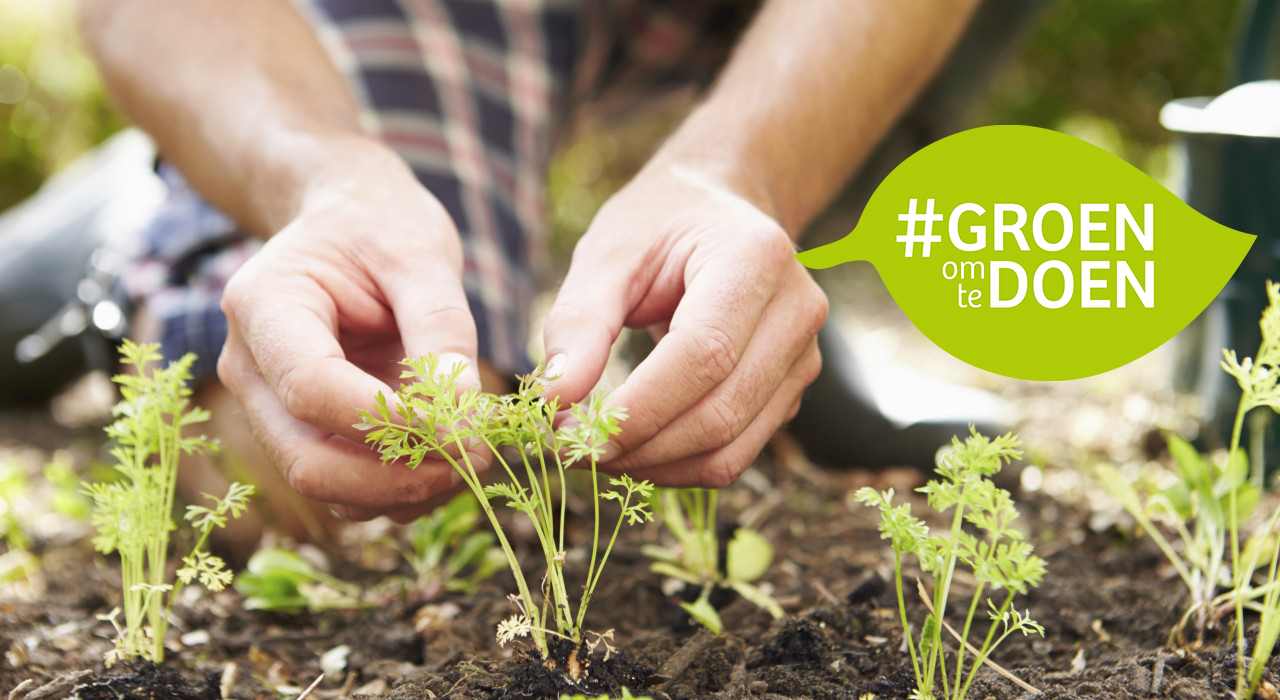 Doe-tip: Moestuinplan
