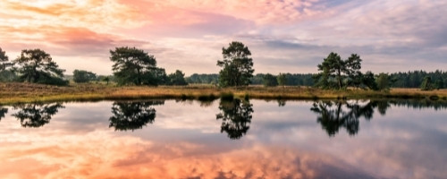 Veluwe