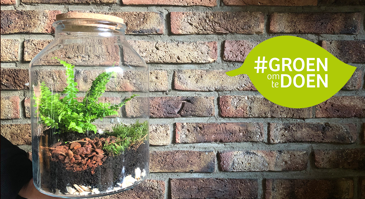 Doe-tip: Planten terrarium