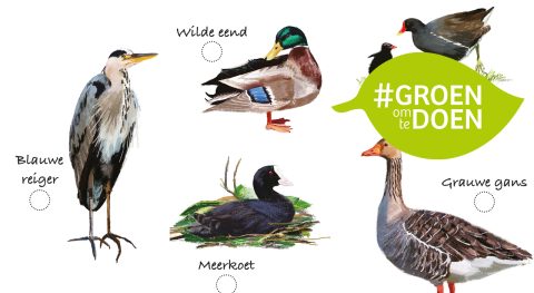 Doe-tip: Op zoek naar watervogels