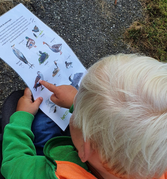 Jongen zoekkaart watervogels