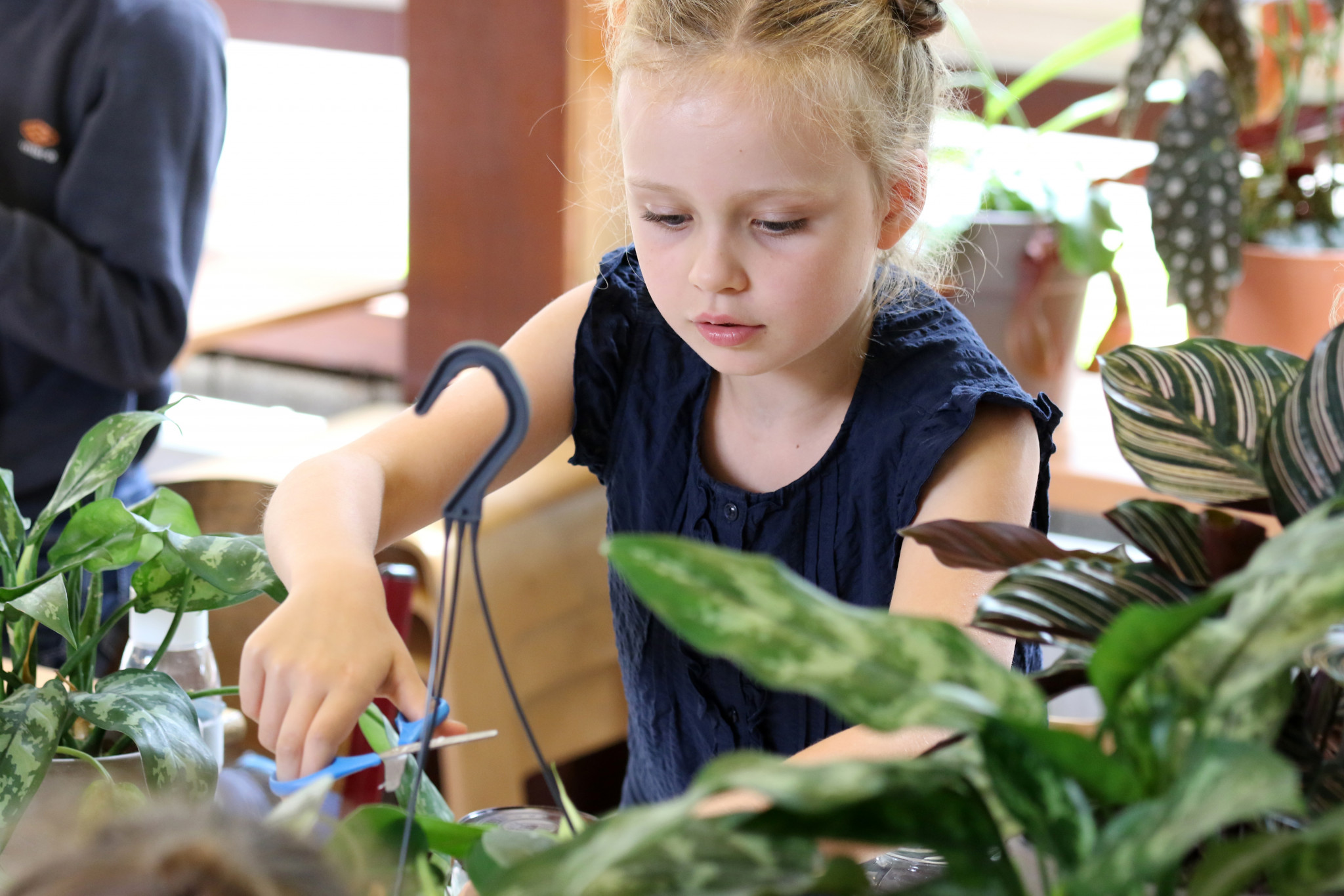 Planten in de klas verbeteren sfeer en concentratie