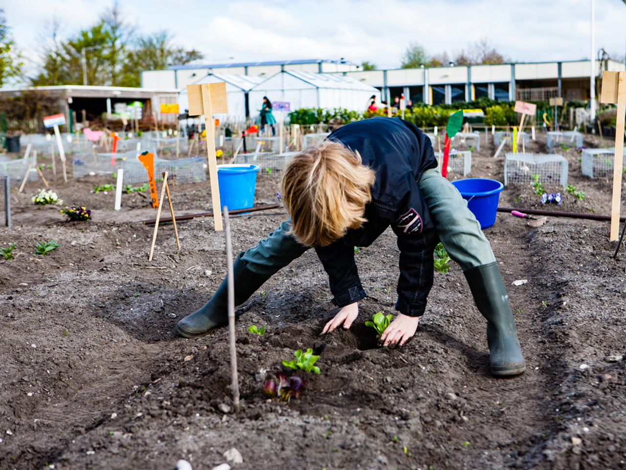 Lesmateriaal: de schooltuin een jaar rond met je handen in de grond