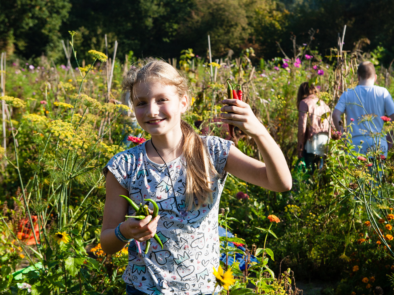 Les 1: Zaden raden in de moestuin