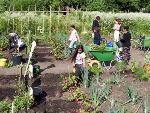 Les 3: Wormen: de helden van de moestuin