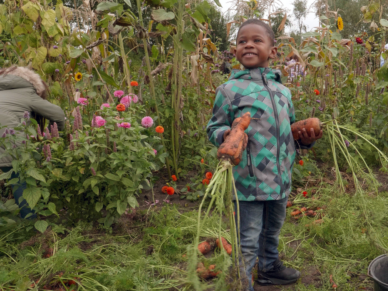 Les 2: De moestuin: een groeiparadijs