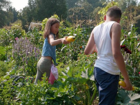 Les 4: Spannende dieren in de moestuin