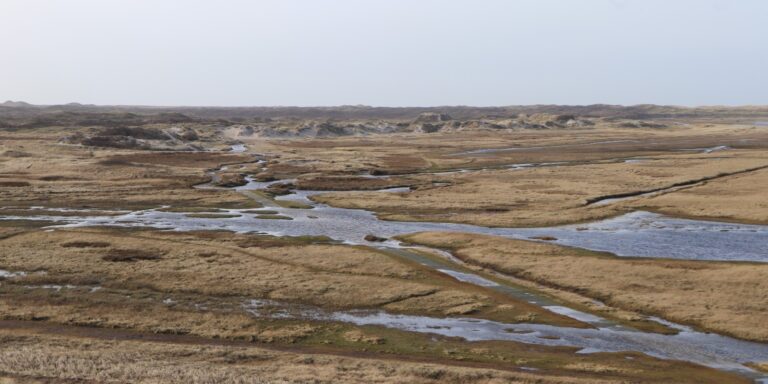 Nationaal Park Duinen van Texel