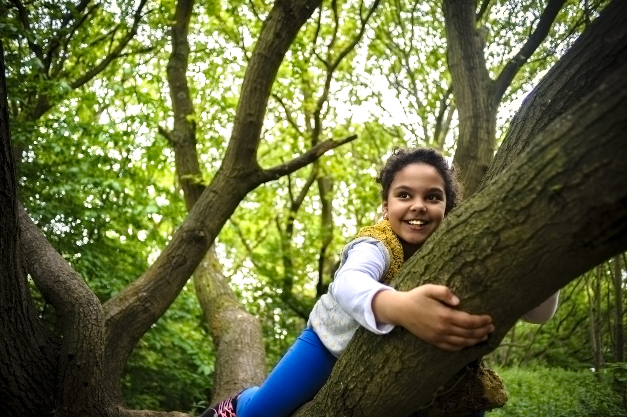 Kind glimlacht terwijl het in een boom klimt in een groen bos.