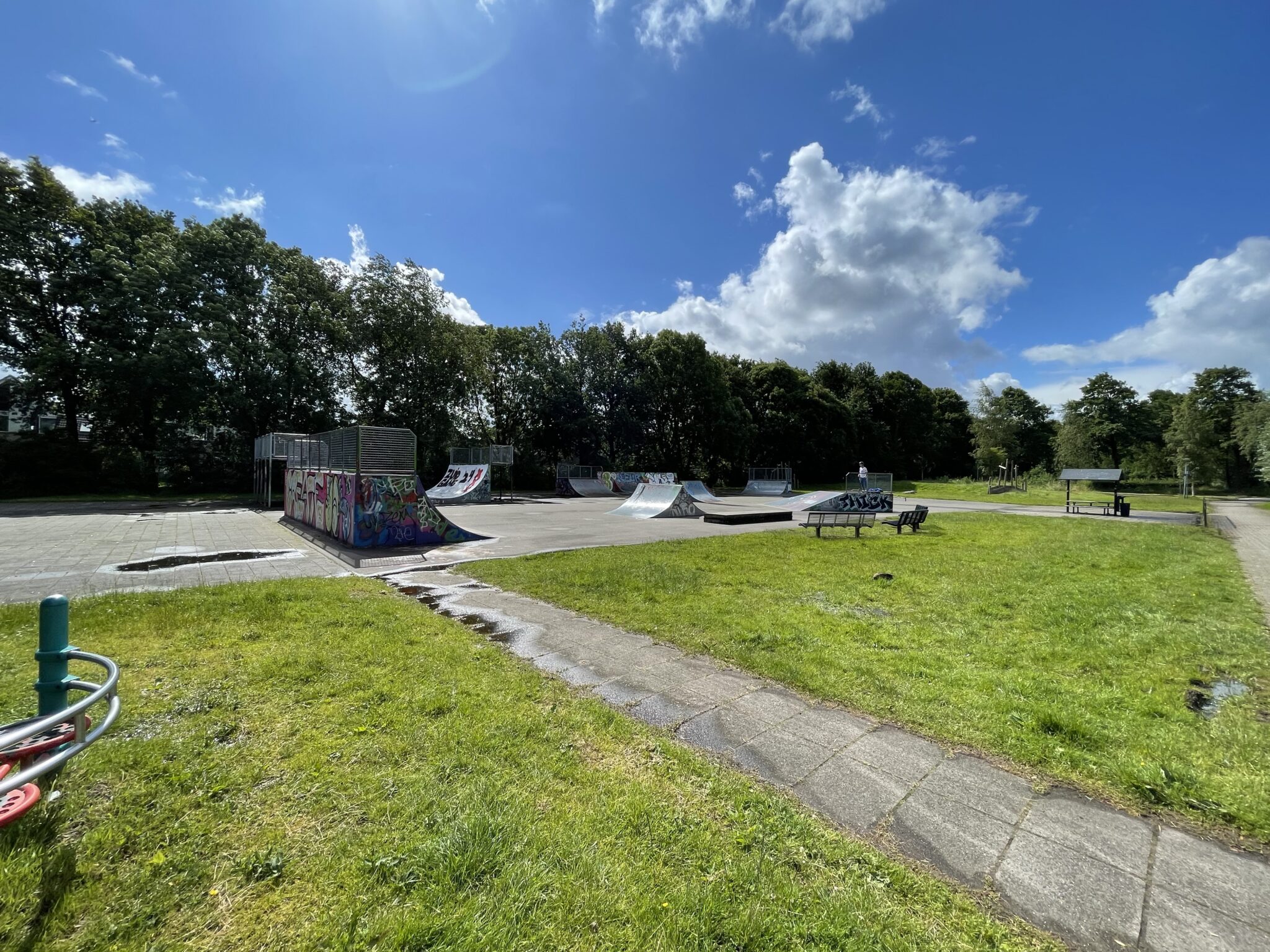 Skatepark met ramps, graffitimuren, grasvelden en bomen onder een blauwe lucht.