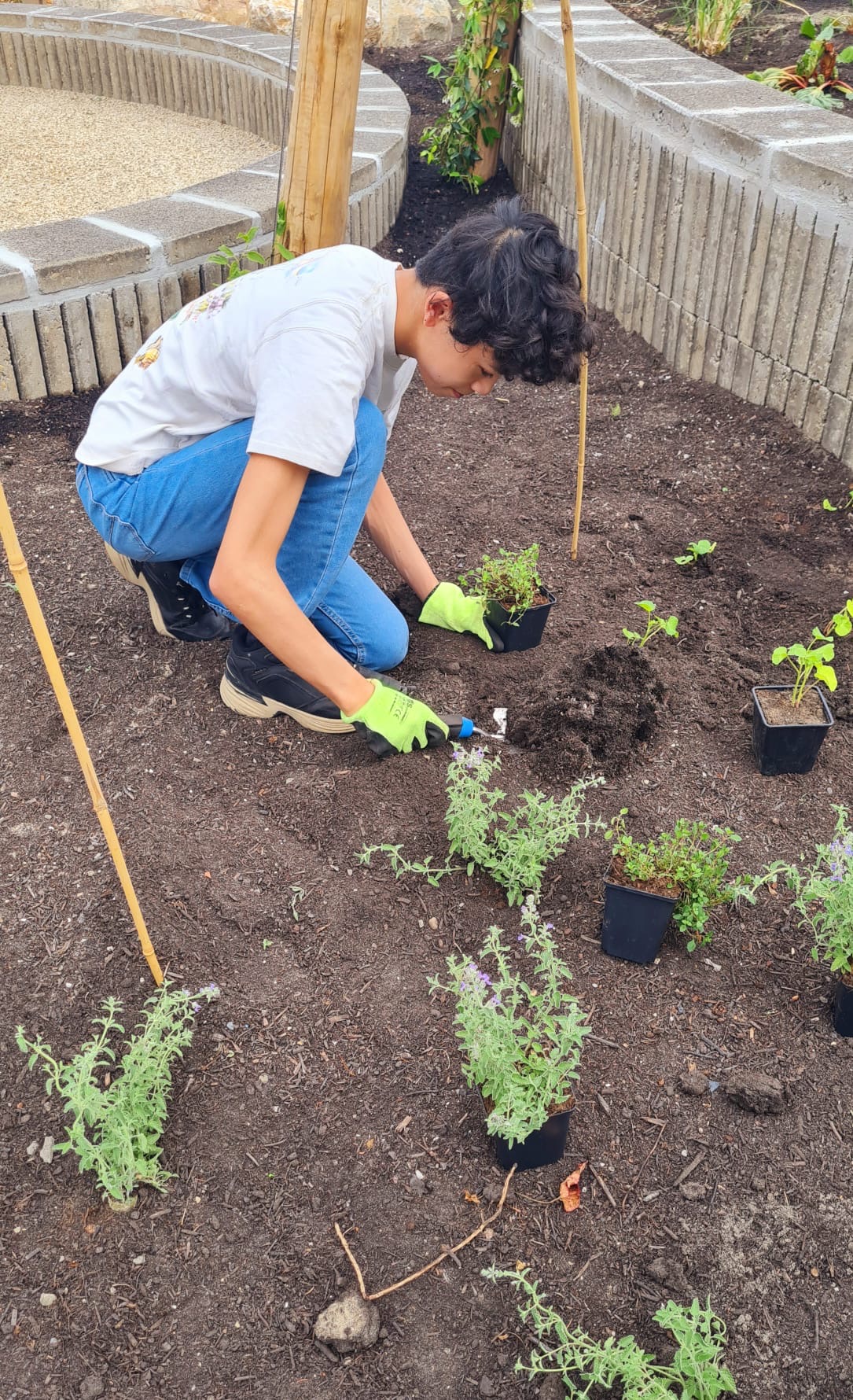 Persoon plant jonge planten in tuin met handschoffel; draagt groene handschoenen.