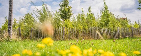 Aanvraag Groeifonds: Werklandschappen van de Toekomst